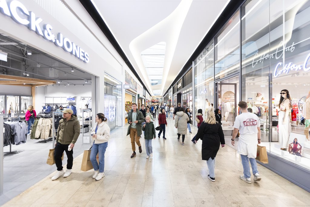 2025_rd_alexandrium_1_.jpg