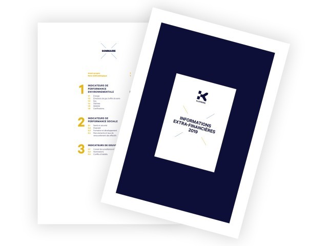 capture_informations_extra_financieres_2019_def.jpg